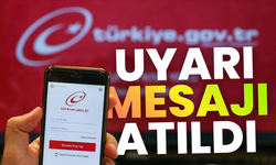 e-Devlet’te Gece Saatlerinde Planlı Bakım