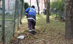 Serdivan’da Yeşil Alanlar Daha Bakımlı ve Düzenli Hale Geliyor