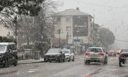 Arifiye'den kar fotoğrafları görsel şölen oluşturdu!