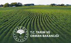 Kırsal kalkınmada destekler artıyor!