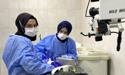 1.641 öğrenci iş deneyimi kazandı