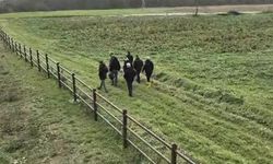 20 Yıl Önce İşlenen 3 Cinayet Aydınlatıldı