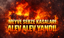 Meyve Sebze Kasaları Alev Alev Yandı