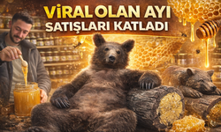 Düzce’de “Bayıltan Bal” Hikâyesi Satışları Artırdı: Kilosu 4 Bin 500 Liraya Alıcı Buluyor