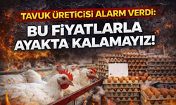 Tavuk Üreticisi Alarm Verdi: “Bu Fiyatlarla Ayakta Kalamayız!”