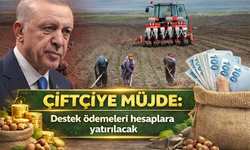 Destek Ödemeleri O Tarihte Başlıyor: Tam 81 Milyar Lira...