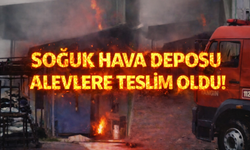 Soğuk hava deposu alevlere teslim oldu!