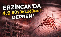 Erzincan'da 4.9 büyüklüğünde deprem oldu!