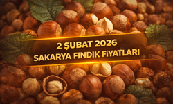 2 Şubat 2026 Sakarya Fındık Fiyatları | Fındık Bugün Kaç TL?