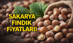 8 Şubat 2026 Sakarya Fındık Fiyatları | Fındık Bugün Kaç TL?