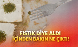 Fıstık diye aldı, içinden bakın ne çıktı