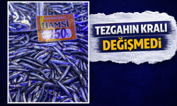 Uzun Çarşı’da Balık Bolluğu: Hamsi Tezgâhlara Geri Döndü