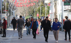 Sakarya’da şubat ortasında bahar havası