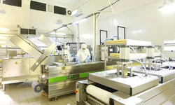 Gündoğdu Gıda Üretimi Durdurdu, Tesisleri Satışa Çıkardı