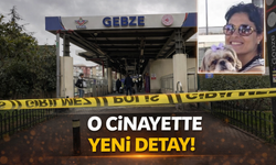 Gebze’de Tren İstasyonunda Kadın Cin*ayeti