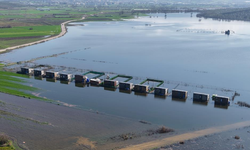 Uluabat Gölü Taştı, Bungalovlar Sular Altında Kaldı