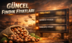 6 Şubat 2026 Güncel Fındık fiyatları