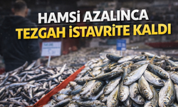 Tezgâhların Yeni Gözdesi İstavrit Oldu