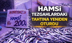 Hamsi Karadeniz’den Döndü