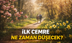 Yılın ilk cemresi nereye düşecek? | İlk cemre düştü mü?