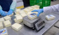 İZMAR’dan uygun fiyatlı kaşar peyniri hamlesi