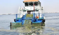 İzmir Körfezi’ndeki Kirlilik Tartışması