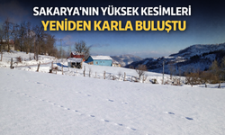 Sakarya’nın Yüksekleri Beyaza Büründü