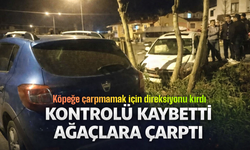 Köpeğe Çarpmamak için Direksiyonu Kırınca Kazaya Karıştı!