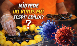 İzmir Körfezi’nde “Midyede Virüs” İddiasına Resmi Açıklama