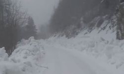 Yedigöller Milli Parkı yolunda kar yağışı etkili oluyor