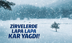 Zirvelerde lapa lapa kar yağdı!