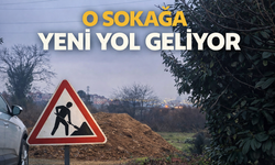 Arifiye'de o sokağa yol geliyor!