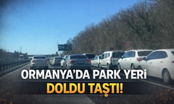 Ormanya’ya hafta sonu yoğun ilgi