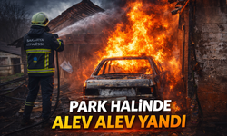 Park halinde alev alev yandı! Yangın eve sıçradı