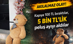 Kapıya 100 TL Bırakıp 5 Bin TL’lik Pelüş Ayıyı Çaldılar