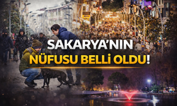 Sakarya’nın Nüfusu Belli Oldu! 2025’te 12 Bin 958 Kişi Arttı