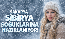 Sakarya Sibirya Soğuklarına Hazırlanıyor! Termometreler 10 Derece Birden Düşecek