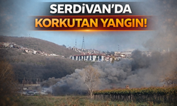 Serdivan’da Fabrikada Yangın Paniği