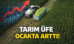Tarım ÜFE Ocakta Yüzde 43,58 Arttı