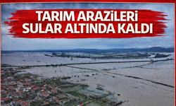 Tarım arazileri sular altında kaldı