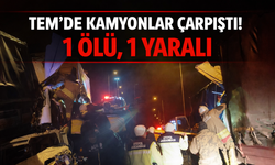 TEM’de Feci Kaza: 1 Kişi Hayatını Kaybetti