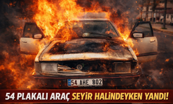 54 Plakalı araç seyir halindeyken yandı!