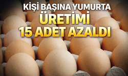 Kişi Başına Yumurta Üretimi 15 Adet Azaldı