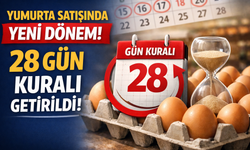 Yumurtada Yeni Dönem: Doğrudan Satış Limiti Artırıldı