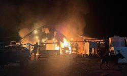 580 kanatlı hayvan telef oldu!