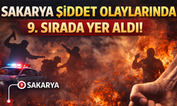 Türkiye'de şiddette 9. sıradayız!