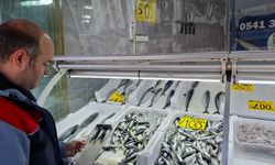 Yasak öncesi balık satış yerleri denetlendi