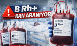 Erkek olması şartıyla B Rh+ Kan Aranıyor!