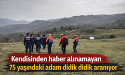 75 yaşındaki adam didik didik aranıyor