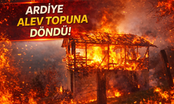 Ardiye alev topuna döndü!